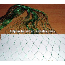 HDPE agriculture protection des cultures anti filet d&#39;oiseau filet anti-oiseaux